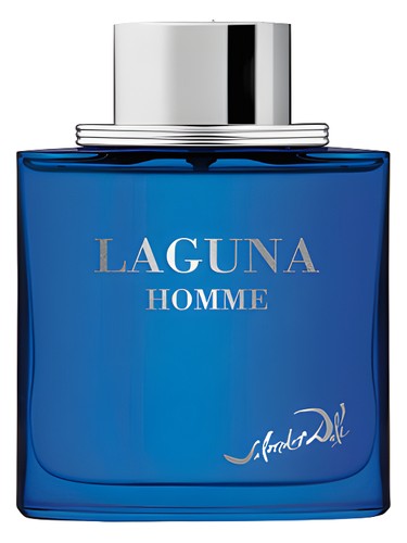 Laguna Homme Salvador Dali cologne - a fragrance for men 2001