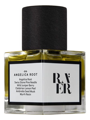 Accord No. 09: Angelica Root