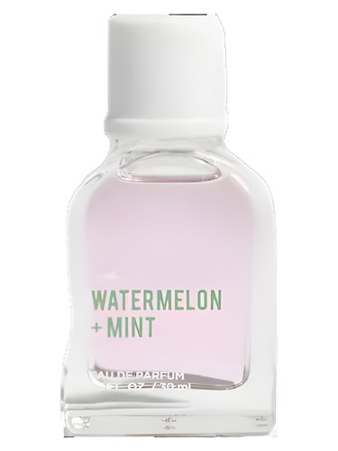 Watermelon + Mint Hollister pro ženy