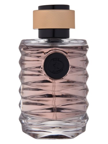 Vortex    RING pro muže 