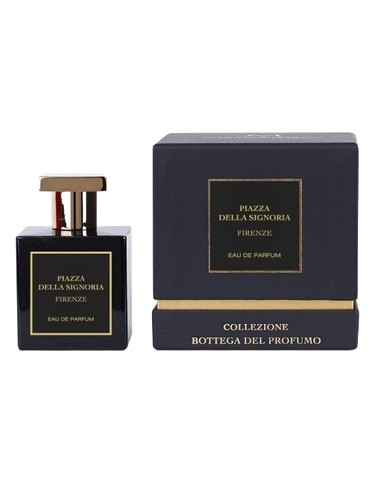 Piazza della Signoria Firenze