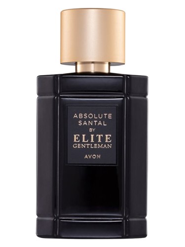 Absolute Santal by Elite Gentleman Avon pro muže