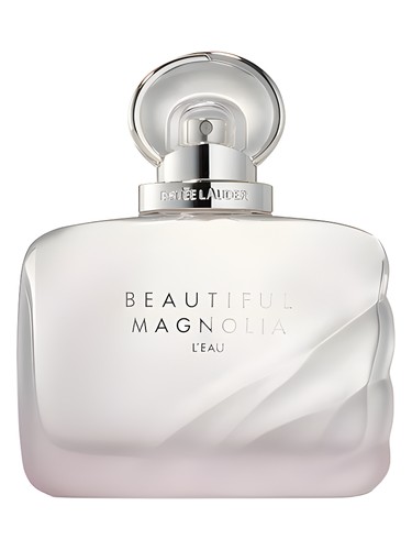 Beautiful magnolia l eau