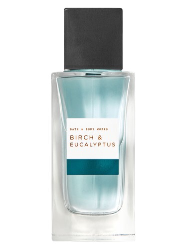 Birch &amp; Eucalyptus Bath &amp; Body Works pro muže 
