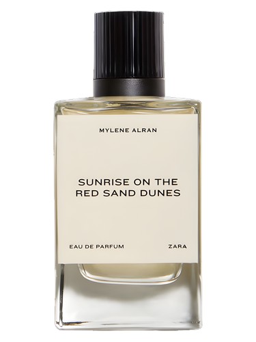 香水(男性用) LAST NEST Sun Grey Dune 50ml 香水(男性用) LAST NEST Sun Grey Dune 50ml Dune Cologne for
