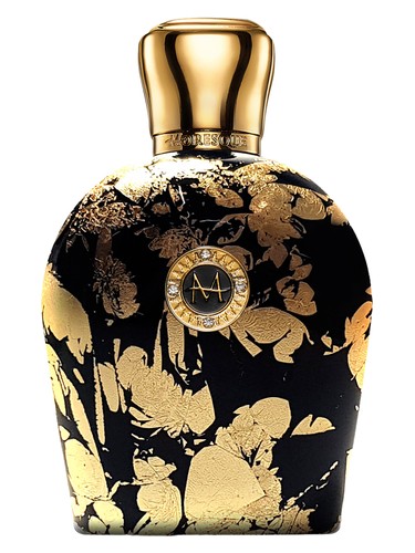 Amber Arabesque Moresque pro ženy a muže