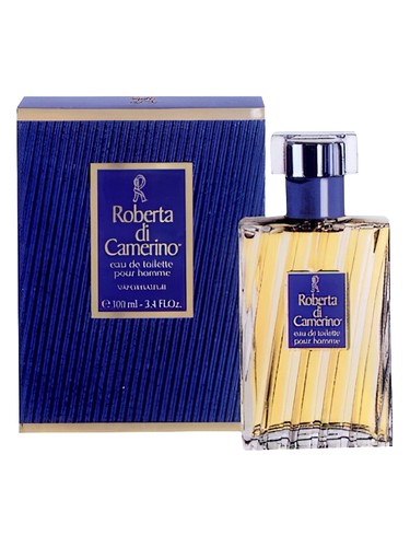 perfume Roberta di Camerino Pour Homme Roberta di Camerino pro muže 