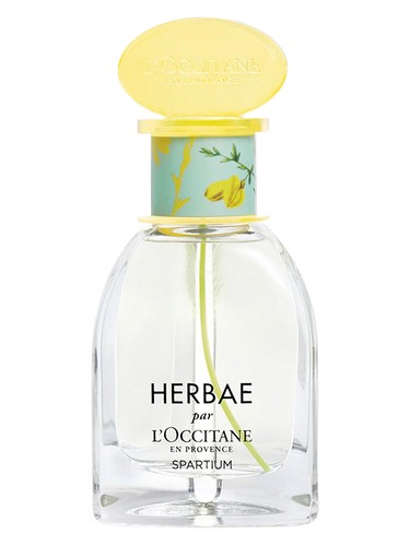 HERBAE l'Occitane 香水 50ml Amazon.com: L'Occitane Herbae Eau de Parfum 1.60 fl.oz