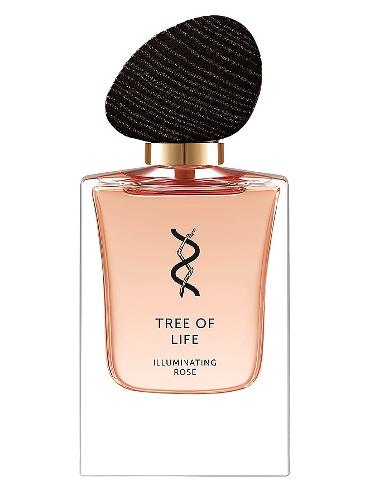 Illuminating Rose Tree Of Life perfume - a fragrance for women 2023