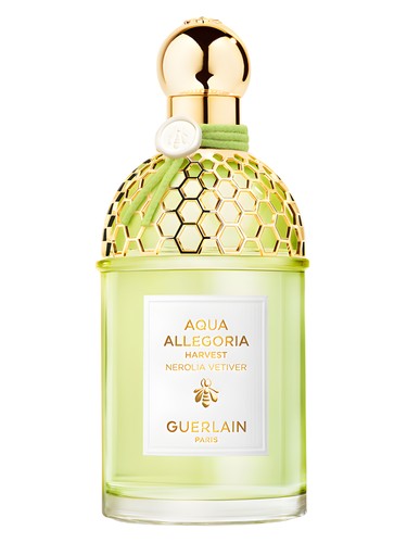 Guerlain Vetiver Cologne for Men Online in Canada