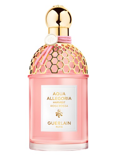 GUERLAIN アクアアレゴリア ROSA ROSSA 125ml 香水 Aqua Allegoria ⋅ Rosa Rossa - Eau de Toilette ⋅ GUERLAIN