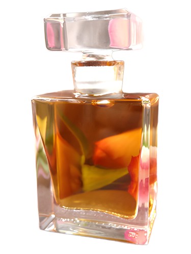 Rosa Roxana Illuminated Perfume pro ženy a muže 