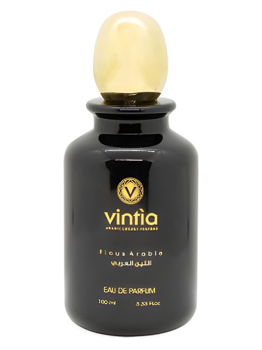 Ficus Arabie Vintìa pro ženy a muže 