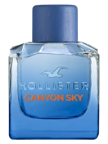 Canyon Sky For Him Hollister pro muže