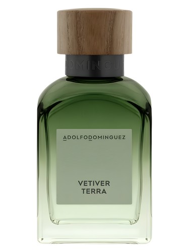 Vetiver terra