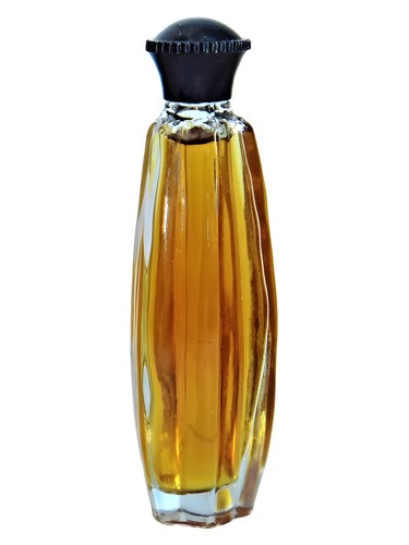 Ilgota Dzintars pro ženy 