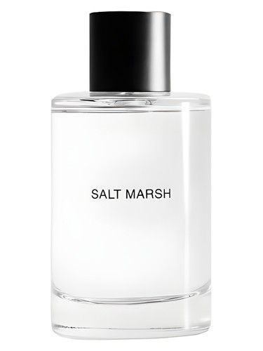 Salt March Massimo Dutti pro ženy a muže 