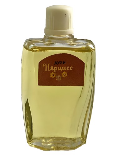 Нарцисс (Narcissus)