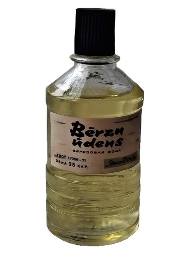 Bērzu ūdens (Берёзовая вода) Dzintars pro ženy a muže