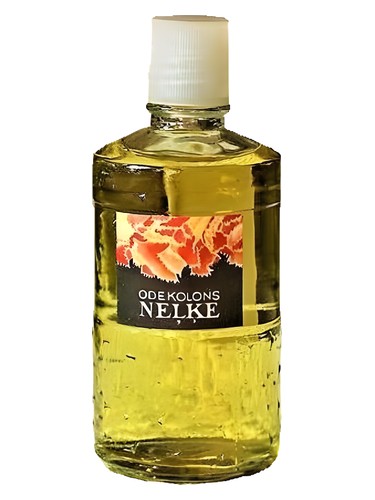 Neļķe (Гвоздика) Dzintars pro ženy a muže 