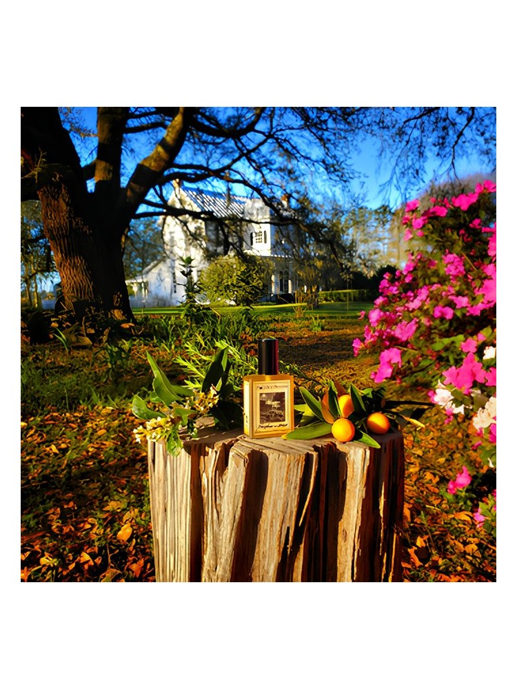 Farmhouse In Spring Solstice Scents άρωμα - ένα άρωμα για γυναίκες και ...