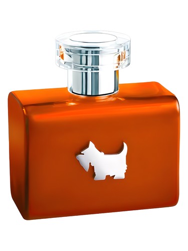 Terrier Orange Ferrioni pro muže 