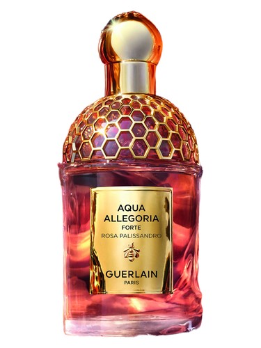 香水(女性用) Guerlain Forte Rosa Rossa 75ml Amazon.com : Guerlain - Aqua Allegoria Forte Rosa Rossa