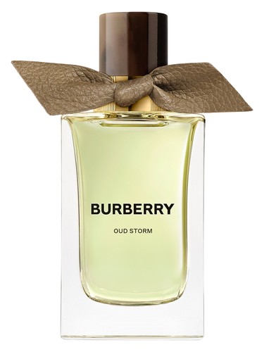 Oud Storm Burberry pro ženy a muže 