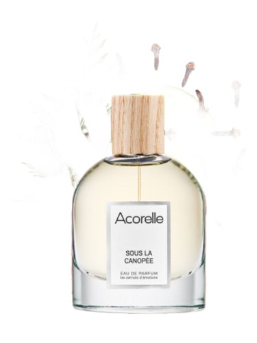 Sous La Canopée by Acorelle