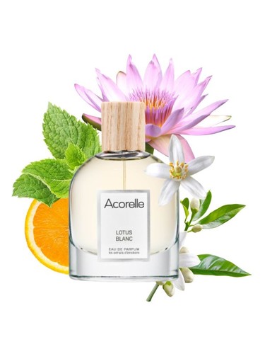 Lotus Blanc by Acorelle