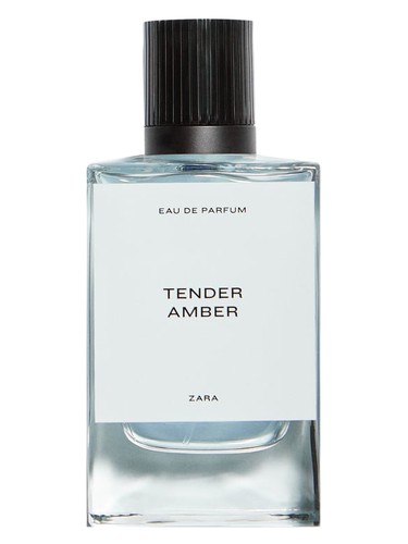 Tender Amber Zara pro muže 