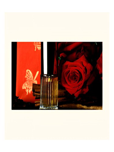 Poivre DSH Perfumes pro ženy 