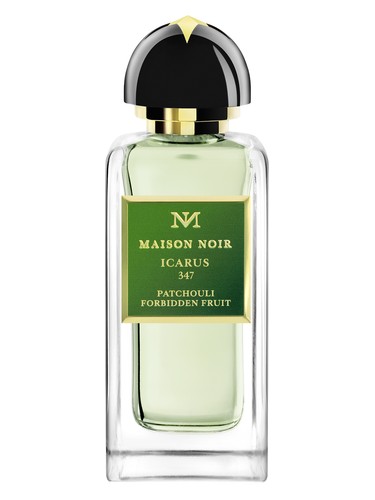 Icarus 347 Maison Noir pro ženy a muže 