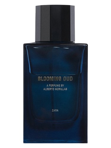 Blooming Oud Zara pro muže 