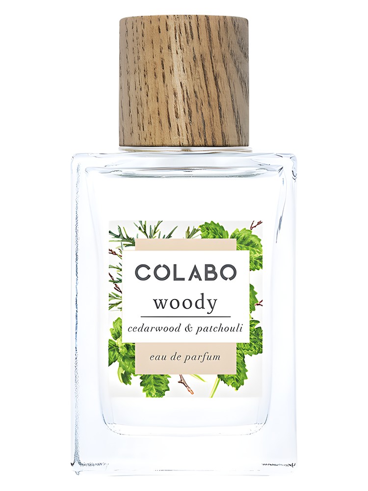 Woody Cedarwood & Patchouli COLABO perfume - a fragrance for women and ...