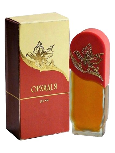 Орхидея - Orchid Алые Паруса (Alye Parusa) pro ženy