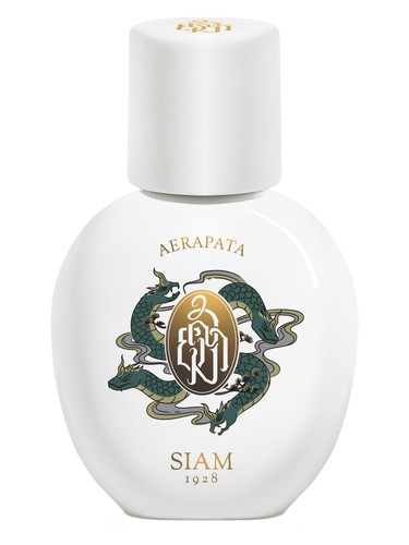 Aerapata