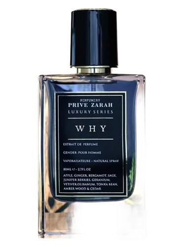 Why Privezarah pro muže