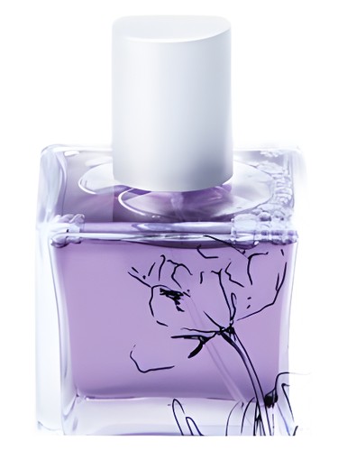 Sands of Morocco Infusion Organique pro ženy 