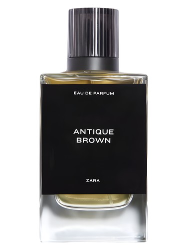 Antique Brown Zara pro muže 