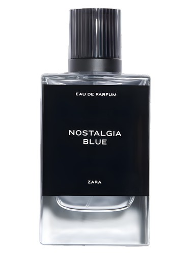 Nostalgia Blue Zara pro muže 