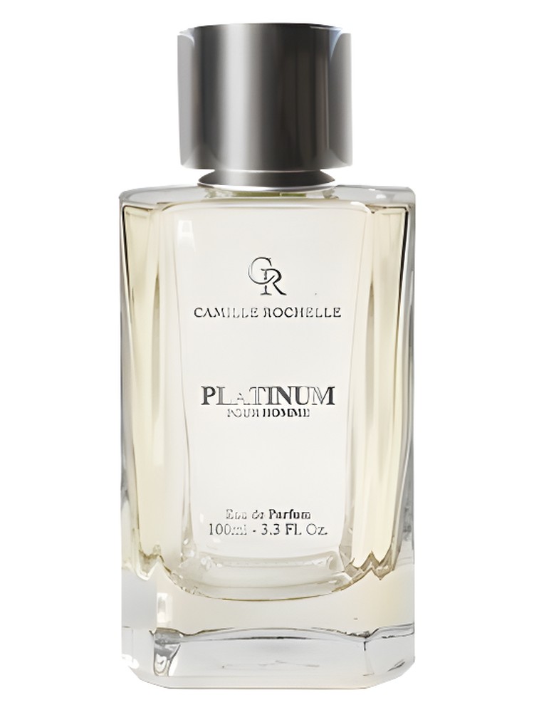 Platinum Pour Homme Camille Rochelle cologne - a fragrance for men 2023