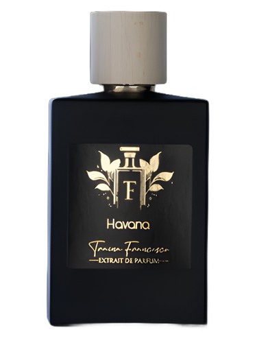 Havana Traina Francesco Parfum pro muže 