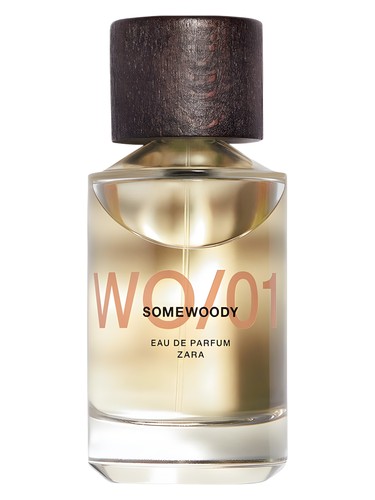 WO/01 Somewoody Zara pro muže