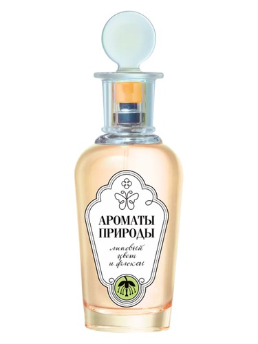 Липовый Цвет и Флоксы - Linden Blossom and Phlox