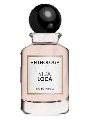 perfume Vida Loca Anthology pro ženy 