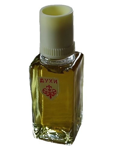 Раймонда Северное сияние pro ženy 