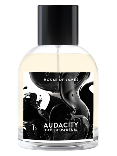 Audacity House Of James pro muže 