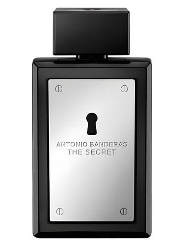 The Secret Antonio Banderas pro muže 