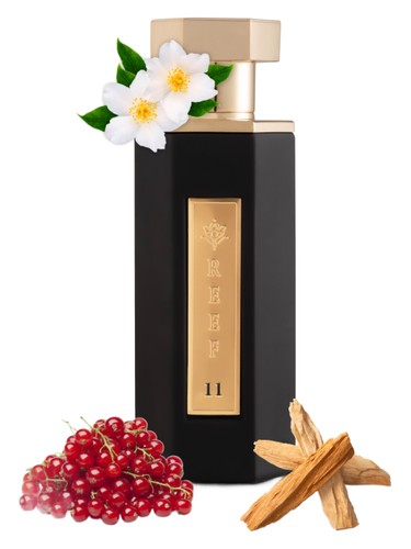 Reef 11 Reef Perfumes pro ženy a muže